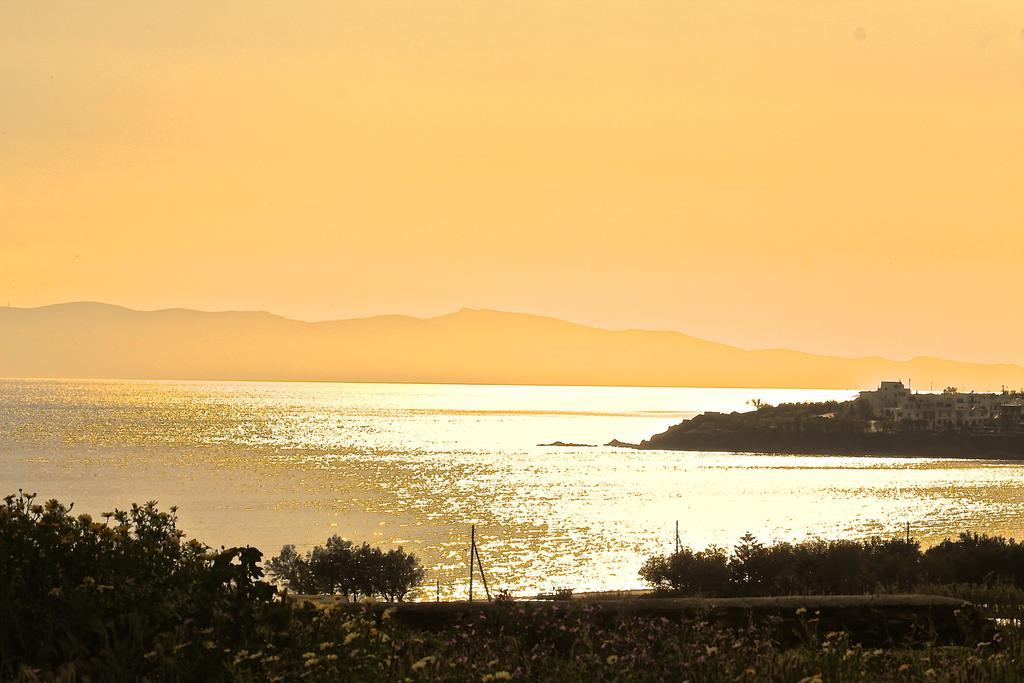 Akrotiraki Villas Tinos Екстер'єр фото